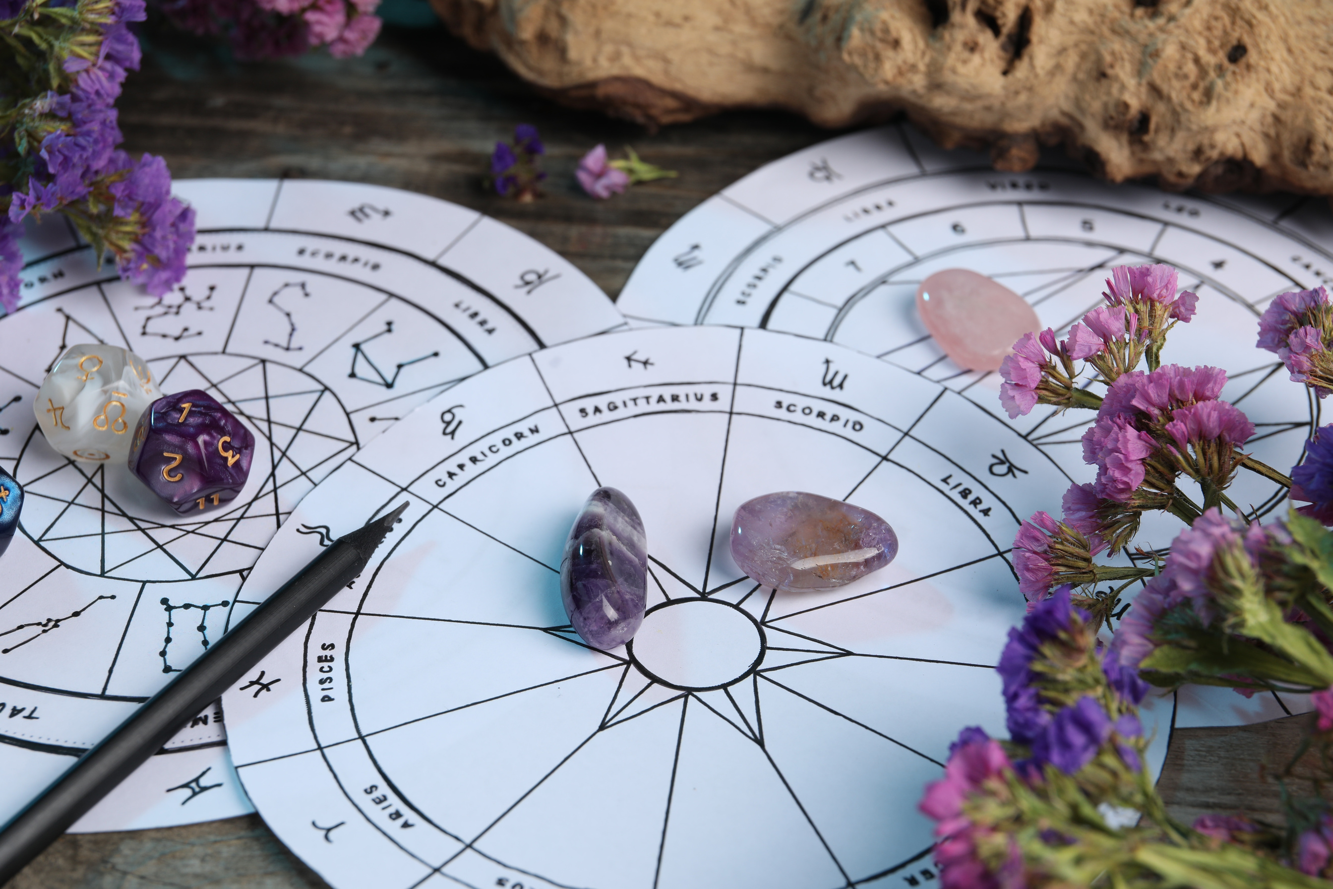 Zodiac Wheels, Gemstones, Flowers and Astrology Dices on Wooden Table, Closeup